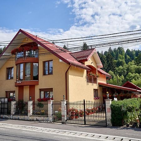 Casa cu Flori Moisei Hotel Luaran gambar