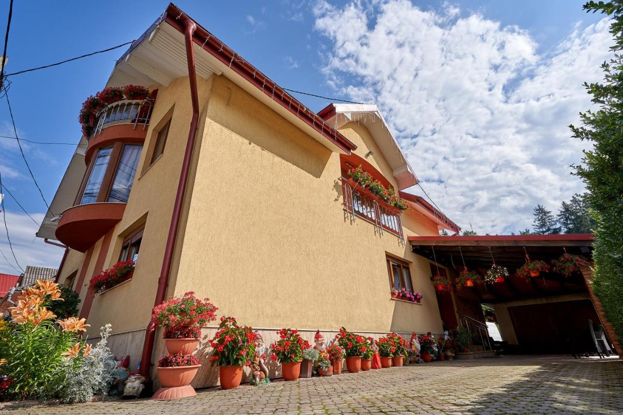 Casa cu Flori Moisei Hotel Luaran gambar