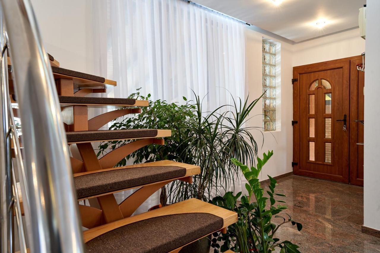 Casa cu Flori Moisei Hotel Luaran gambar