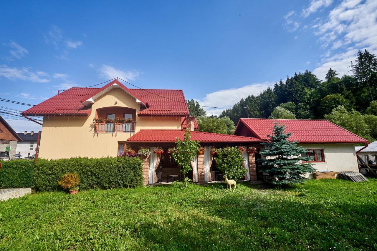 Casa cu Flori Moisei Hotel Luaran gambar